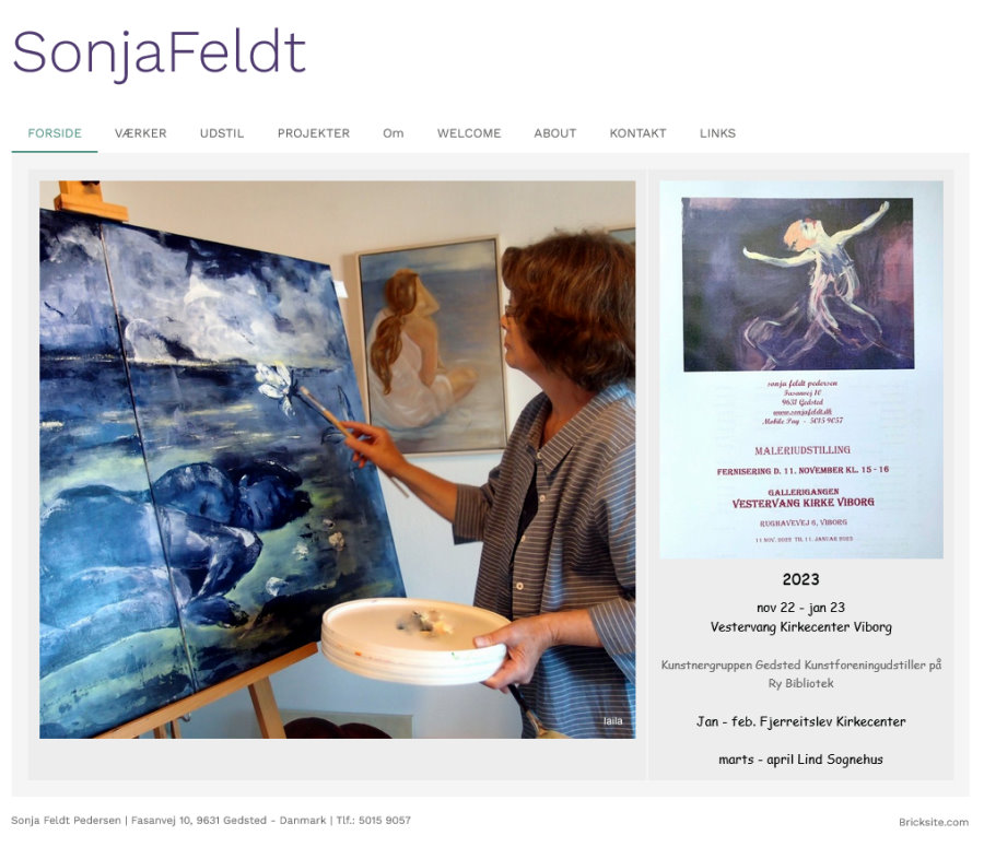Billedet viser forsiden på Sonja Feldts hjemmeside