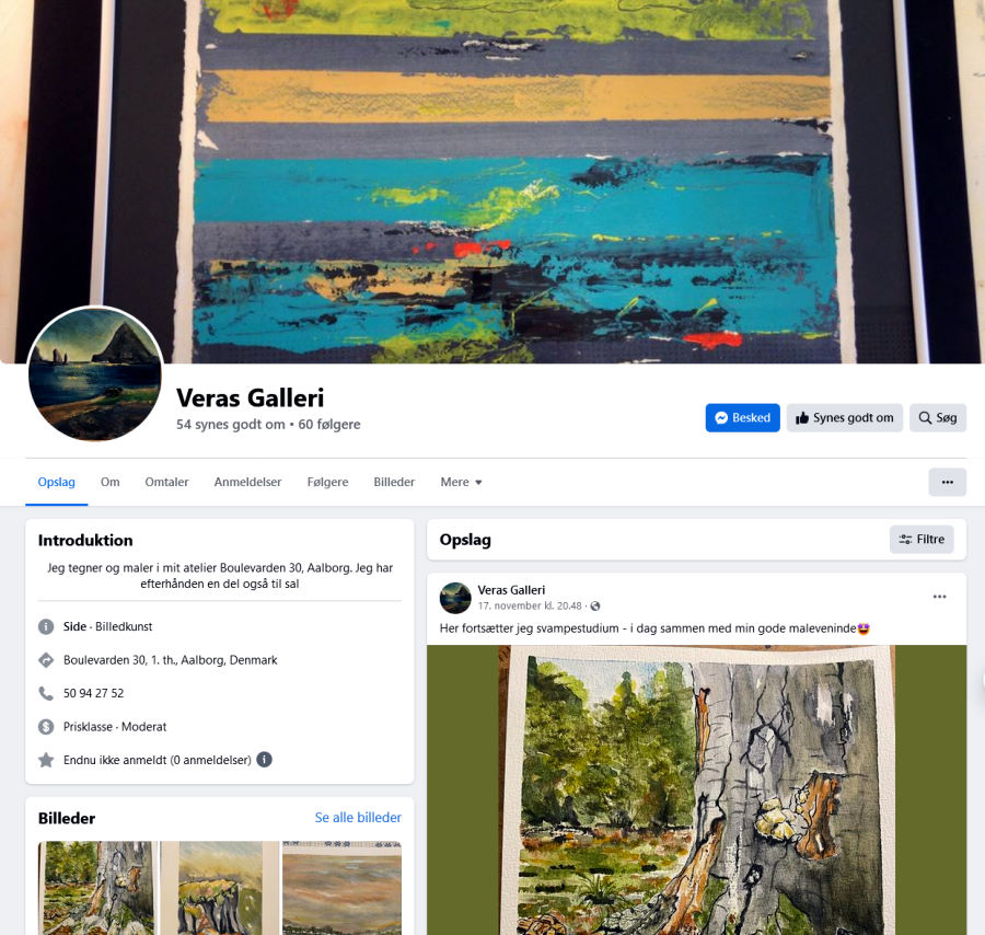 Link til Vera Obel Jepsens Facebook Galleri